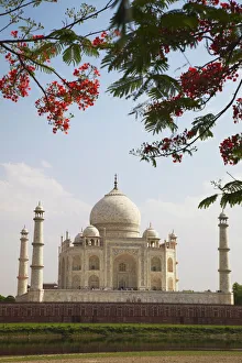 Architectural Feature Prints: Taj Mahal, UNESCO World Heritage Site, Agra, Uttar Pradesh, India, Asia