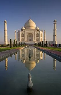 Images Dated 17th March 2008: Taj Mahal, UNESCO World Heritage Site, Agra, Uttar Pradesh, India, Asia