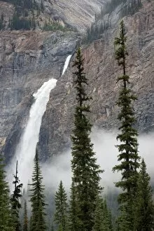 Images Dated 11th August 2011: Takakkaw Falls, Yoho National Park, UNESCO World Heritage Site, British Columbia