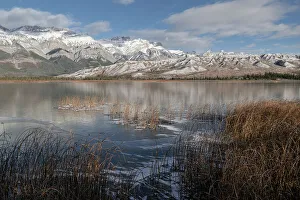 Alberta Prints: Talbot Lake, Jasper National Park
