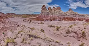 Hoodoos Prints: Tall hoodoo towers in the valley below Blue Mesa in Petrified Forest National Park