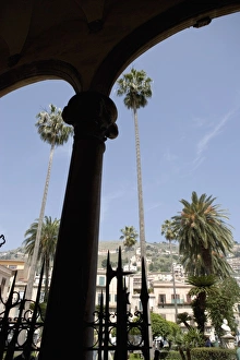 Monreale Prints: Tall palm trees