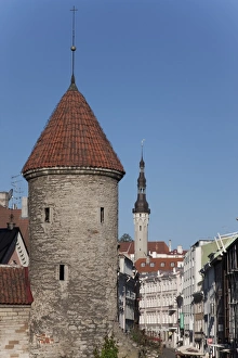 Images Dated 2nd September 2009: Tallinn, Estonia, Baltic States, Europe