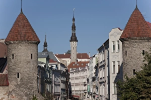 Images Dated 2nd September 2009: Tallinn, Estonia, Baltic States, Europe