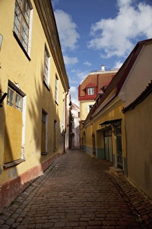 Images Dated 31st August 2009: Tallinn, Estonia, Baltic States, Europe