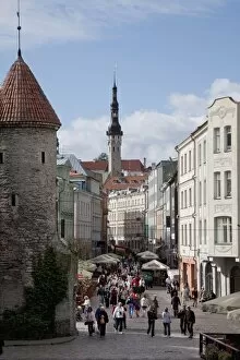 Images Dated 31st August 2009: Tallinn, Estonia, Baltic States, Europe