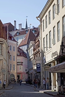 Images Dated 2nd September 2009: Tallinn, Estonia, Baltic States, Europe