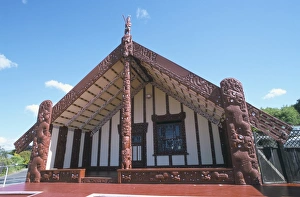 South Auckland Prints: Tamatekapua