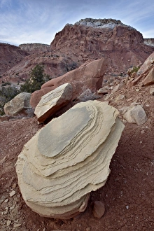Red Rocks Prints: Tan sandstone boulder among red rocks, Carson National Forest, New Mexico
