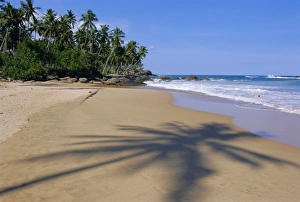 Sinelese Prints: Tangalla beach