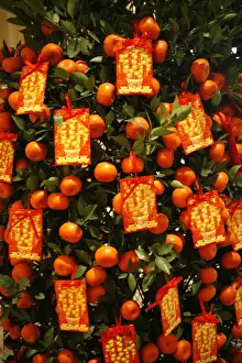 Hanging Prints: Tangerine good luck symbols, Chinese New Year decoration, Macao, China, Asia