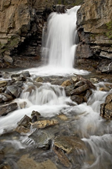 Images Dated 29th June 2009: Tangle Falls, Jasper National Park, UNESCO World Heritage Site, Rocky Mountains