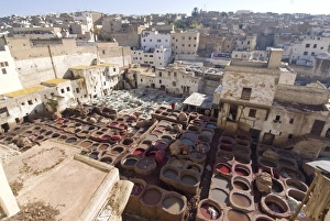 Images Dated 8th November 2007: The Tanneries, Fes, Morocco, North Africa, Africa