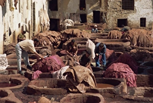Leather Prints: The Tannery