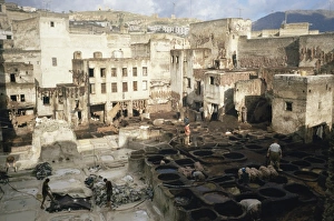 Tannery Prints: Tannery, Fez