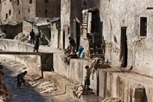 Images Dated 12th November 2009: Tannery, Fez, Morocco, North Africa, Africa