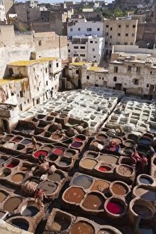 Images Dated 13th November 2009: Tannery, Fez, UNESCO World Heritage Site, Morocco, North Africa, Africa