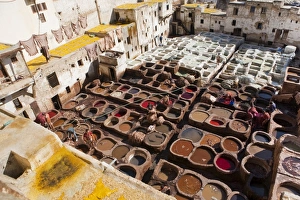 Images Dated 13th November 2009: Tannery, Fez, UNESCO World Heritage Site, Morocco, North Africa, Africa