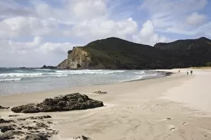 Tapotupotu Bay sandy beach with rolling waves and rocky headland on Pacific east coast
