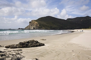 Images Dated 12th May 2007: Tapotupotu Bay sandy beach with rolling waves and rocky headland on Pacific east coast