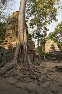 Images Dated 15th January 2008: Taprohm Kei temple, Angkor Thom, Angkor, UNESCO World Heritage Site, Siem Reap