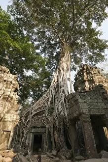 Images Dated 15th January 2008: Taprohm Kei temple, Angkor Thom, Siem Reap, Cambodia