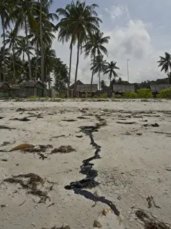 Sumatra Prints: Tar pollution on beach due to oil spillages from shipping in Bintan Island, Sumatra