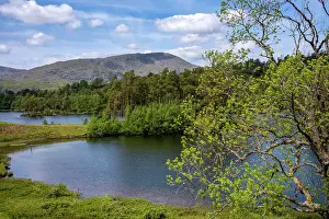 Camping Prints: Tarn Hows Lake, Lake District National Park, United Kingdom