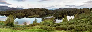 Panorama Prints: Tarn Hows near Hawkshead, Lake District National Park, UNESCO World Heritage Site