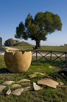 Images Dated 29th September 2008: Tarquinia, Viterbo, Lazio, Italy, Europe