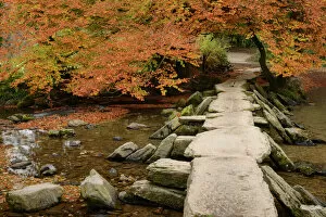 Connection Gallery: Tarr Steps, a clapper bridge crossing the River Barle on Exmoor, Somerset, England
