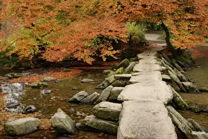 Connection Prints: Tarr Steps, a clapper bridge crossing the River Barle on Exmoor, Somerset, England