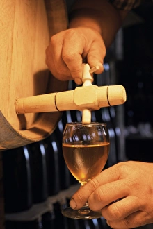 Tasting Prints: Tasting cider, cider farm, Normandy, France, Europe