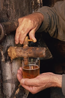 Tasting Prints: Tasting, farm cider, Normandie, France, Europe