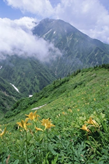 Haze Prints: The Tateyama-Kurobe Alpine Route
