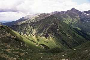 Makopolska Prints: Tatra Mountains