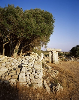 Taula de Torre Trencada