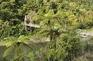 Pedestrian Bridge Prints: Tauranga historic bridge, Waioeka Gorge Scenic Reserve, Bay of Plenty, North Island
