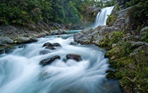 Images Dated 10th November 2008: Tawhai Falls, Tongariro National Park, UNESCO World Heritage Site, North Island, New Zealand