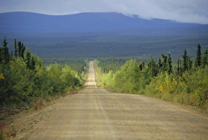 Direction Gallery: Taylor Highway