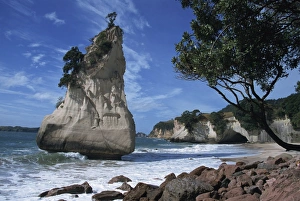 Te Horo rock
