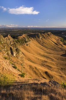 Te Mata Peak at sunrise, Hastings near Napier, Hawkes Bay Region, North Island, New Zealand