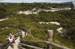 Taupo Prints: Te Puia Wakarewarewa Geothermal Village