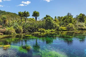 Tasman Prints: Te Waikoropupu Springs (Pupu Springs), Spring sacred to the Maoris, Golden Bay, Tasman