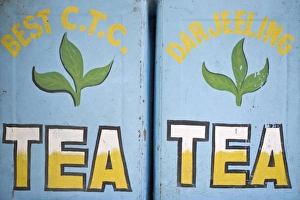 Images Dated 9th October 2008: Tea for sale, Mahatma Gandhi Marg (MG Marg), Gangtoks main shopping street