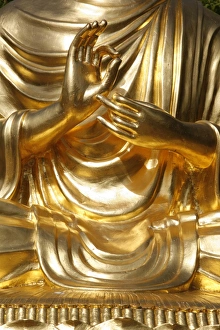 Images Dated 30th June 2007: Detail of the teaching mudra on the sitting Buddha statue, Sainte-Foy-Les-Lyon