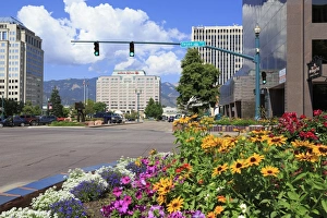 Flower Bed Prints: Tejon Street, Colorado Springs, Colorado, United States of America, North America