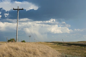 Telegraph Pole Prints: Telephone posts, Wyoming, United States of America, North America