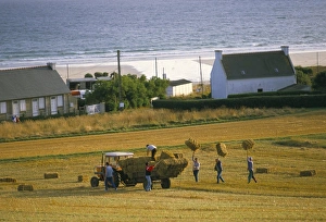 Gather Prints: Telgruc-sur-Mer, Crozon peninsula, Finistere, Brittany, France, Europe