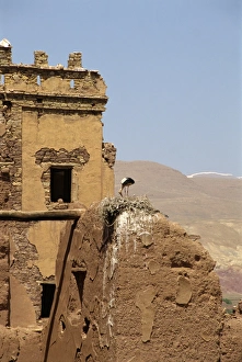 Telouet Kasbah